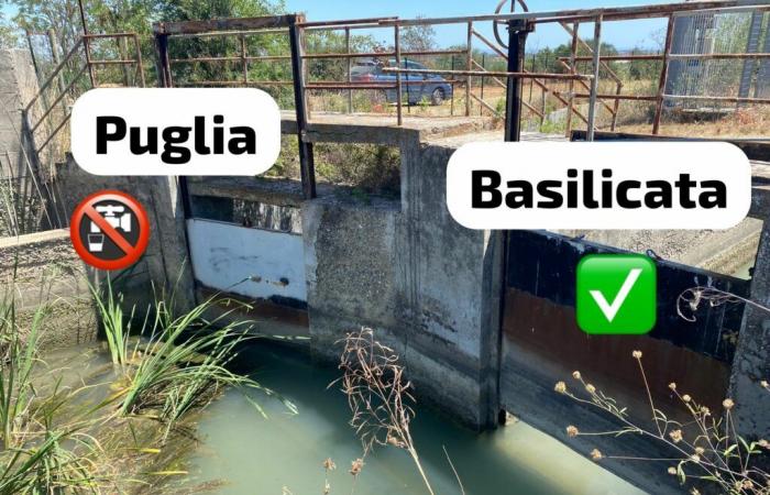 Eau du barrage lucanien : « canaux secs dans la région de Tarente, pas en Basilique » VIDÉO