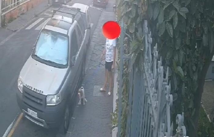 Elle ne collecte pas les besoins du chien, le maire publie la vidéo de la “championne des incivilités” et l’encadre
