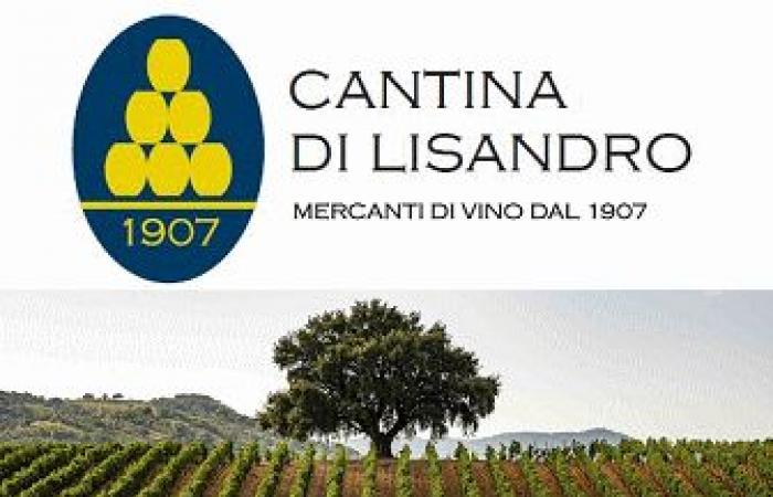 Le monde du vin, l’AIS Caserta forme 50 nouveaux sommeliers