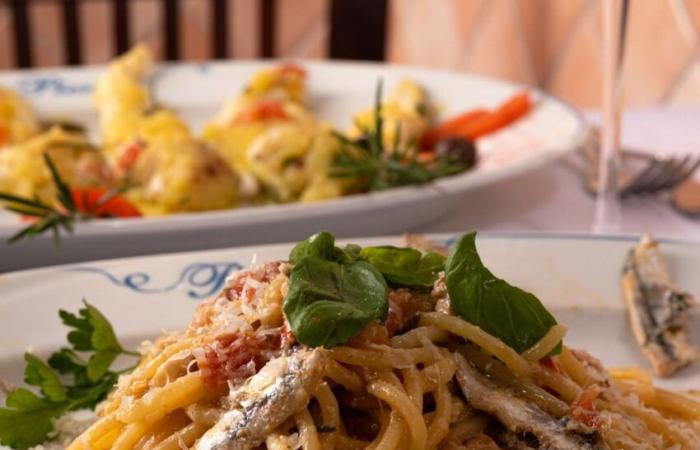 Où manger à Anzio, les restaurants à ne pas manquer sur la côte romaine