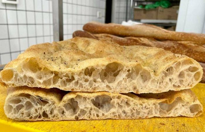 La boulangerie Førma de L’Aquila confirmée dans le guide Pani & Panettieri d’Italia de Gambero Rosso