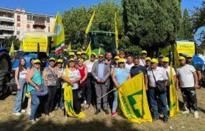 PHOTO-Agriculteurs sur la place de Cosenza avec des tracteurs pour en dire assez aux sangliers