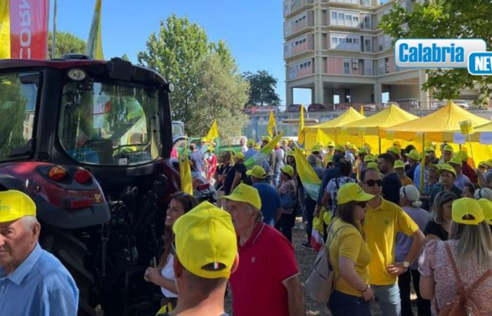 PHOTO-Agriculteurs sur la place de Cosenza avec des tracteurs pour en dire assez aux sangliers