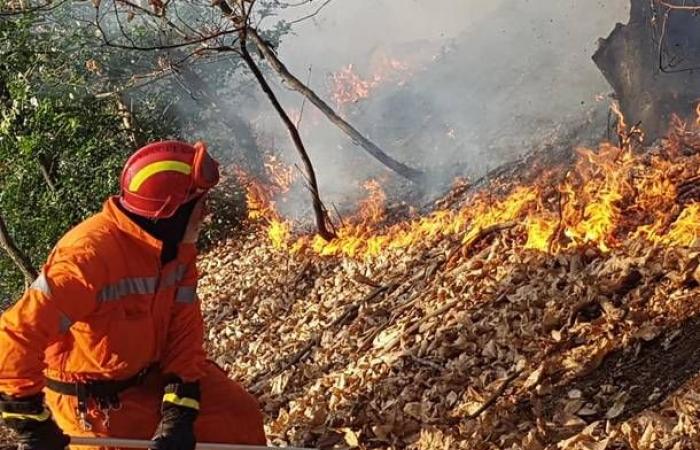 Plan de programme de protection contre les incendies établi dans la région des Pouilles