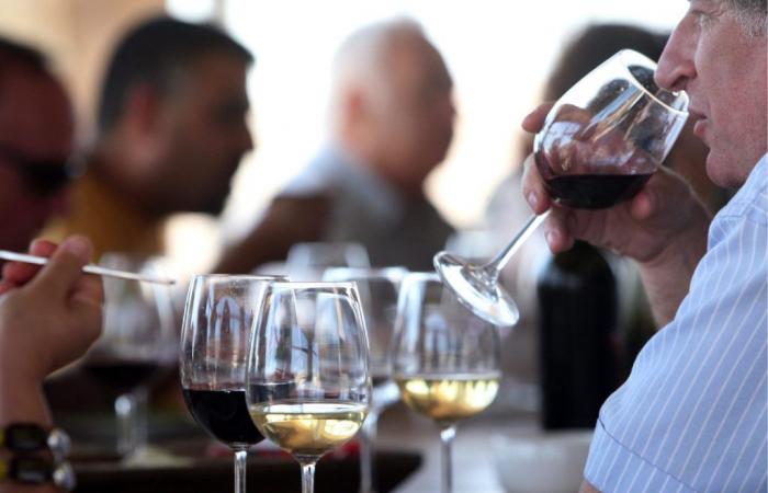 Le vin sicilien est devenu important et constitue le moteur de l’économie de l’île