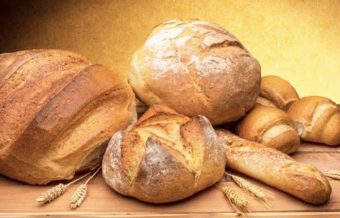 Gambero Rosso, également Bisceglie dans le guide du pain et du boulanger 2025
