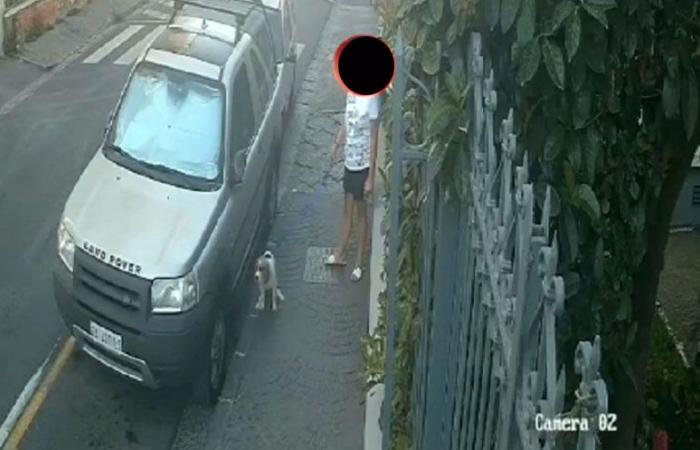 Une fille ne ramasse pas les déjections des chiens : le maire des pays vésuviennes publie la vidéo
