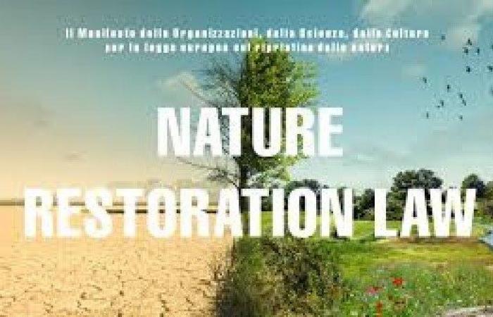 Victoire historique pour la nature européenne : la loi sur la restauration de la nature approuvée