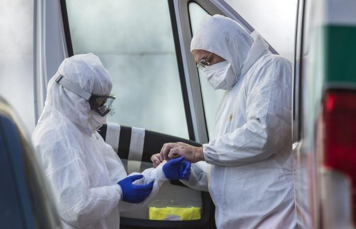 “La pandémie de grippe aviaire est une question de temps, une mortalité jusqu’à 50%” : l’alarme du virologue