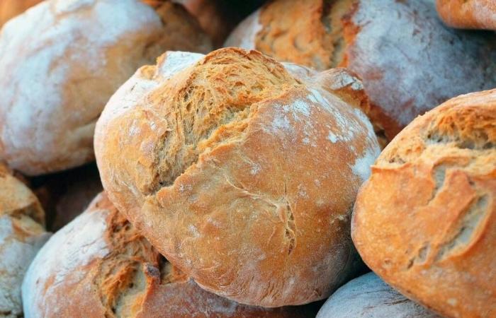 Gambero Rosso, à la découverte du meilleur pain de la région de Bergame