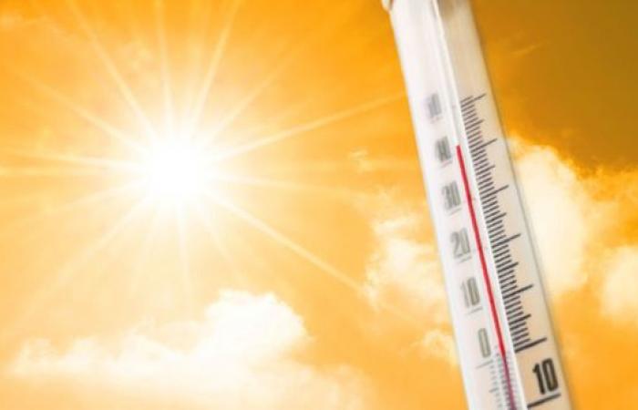 Canicule à venir en Italie : températures 12 degrés au-dessus de la normale – Économie et Finances