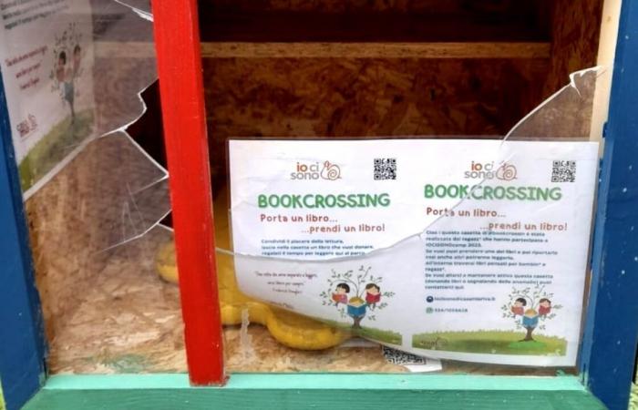 Riva del Garda, des vandales détruisent un jouet pour enfants et la maison du livre