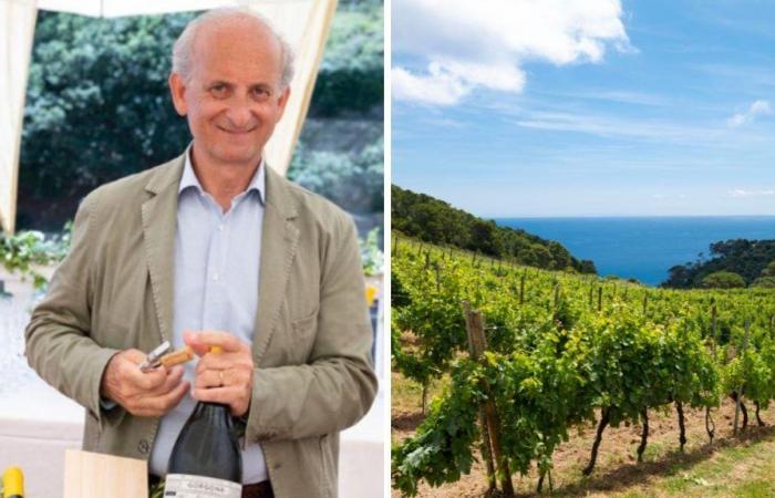 «Un vin au goût de mer» Frescobaldi, l’île de Gorgona et la nouvelle récolte d’Il Tirreno