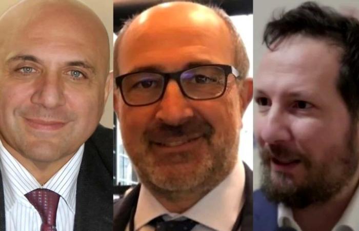 “trois sages” au sein du Comité consultatif pour la recherche en oncologie
