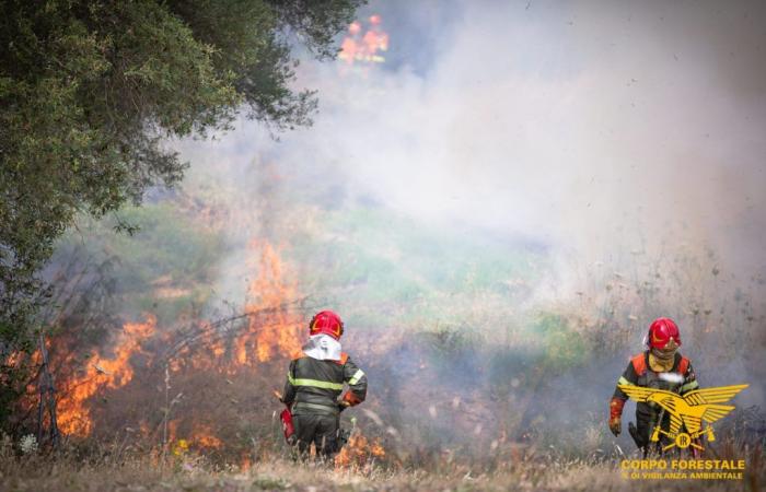 La Sardaigne brûle : hier 18 juin, 17 incendies se sont produits sur le territoire régional
