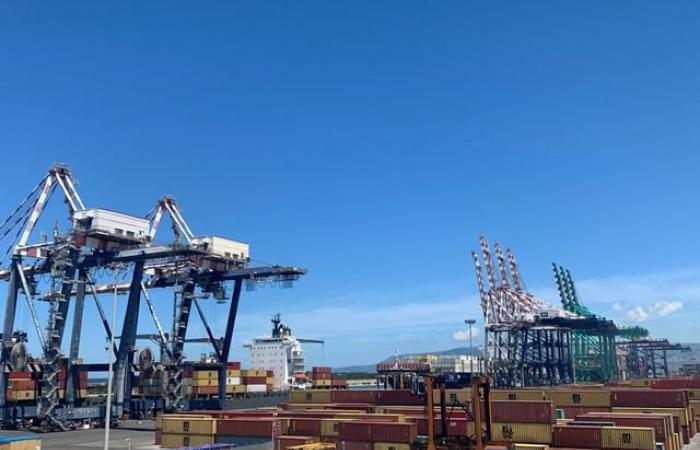 Les travailleurs portuaires de Tarente et Gioia Tauro “sauvés” pendant 9 mois supplémentaires par Lotito