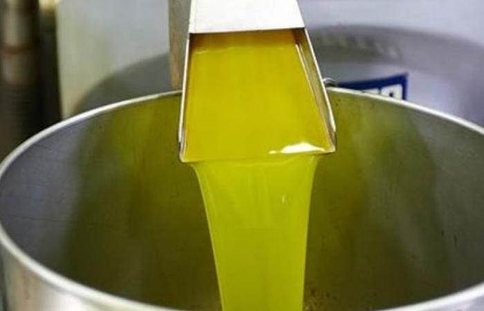 Dans les Abruzzes, plus de 5 millions d’euros pour la modernisation des huileries