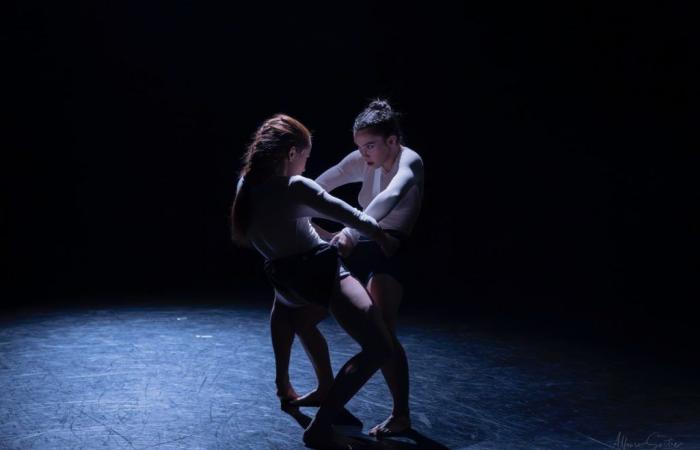Le Balletto Teatro di Torino et la compagnie espagnole Larreal dansent les créations de José Reches – DHN