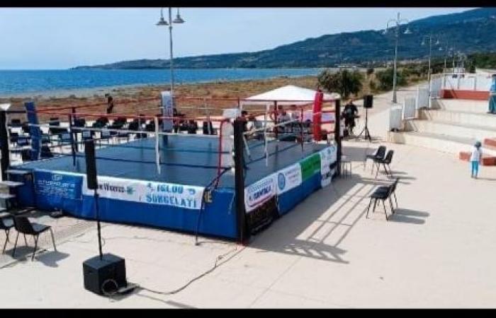 Lamezia. Beau succès pour le Kickboxing “Summer Championship” 2.0