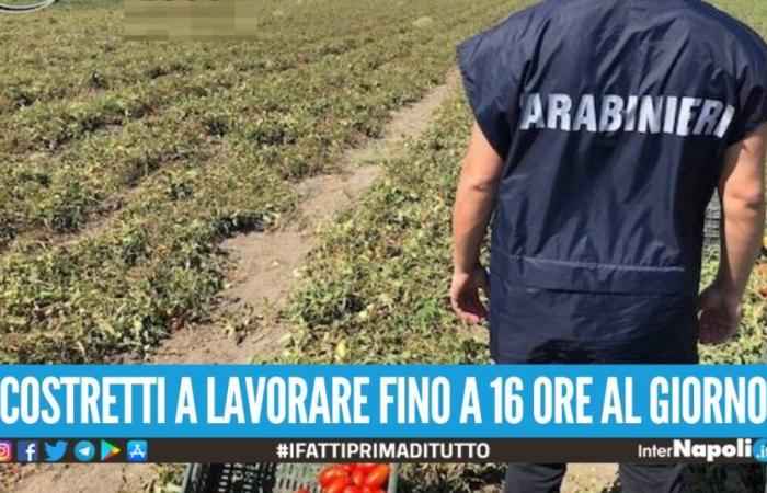 Raid entre Naples et Caserta, 60 ouvriers payés moins de 2 euros de l’heure : 6 arrestations