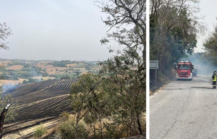 Incendie à Mogliano, flammes dans un champ : véhicule agricole impliqué. L’hélicoptère des pompiers de Pescara arrive. Le maire : «Circulation rétablie»