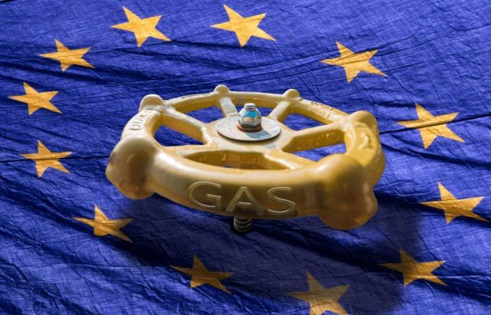 Ukraine : l’UE donne son feu vert à de nouvelles sanctions sur le gaz russe