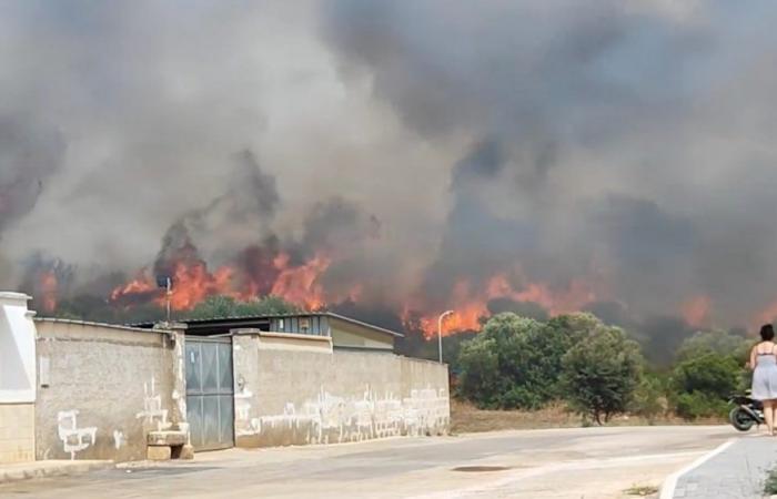 Vaste incendie à Maruggio, les flammes touchent les maisons. Autres incendies dans la province ionienne