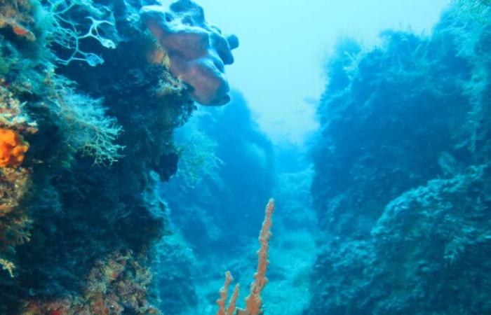 La mer des Pouilles est la meilleure… pour la quatrième fois consécutive – Ambient&Ambienti