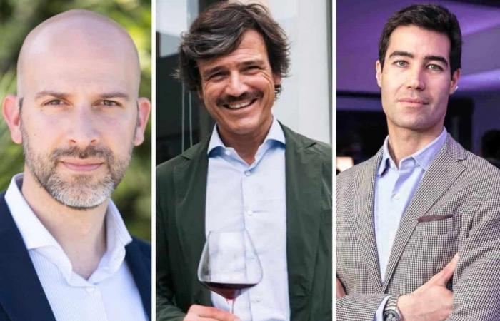 Les trois maîtres italiens du vin s’unissent pour produire un vin étonnant à partir d’un vignoble abandonné à Marsala