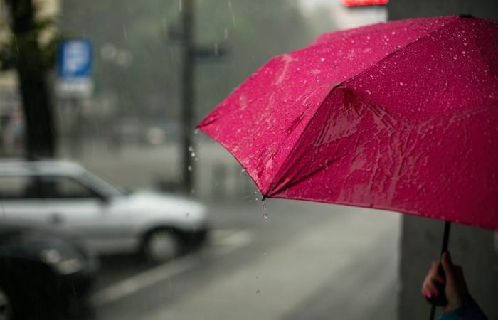 Le mauvais temps revient avec de forts orages sur Fvg, avertissement météo pour vendredi • Il Goriziano