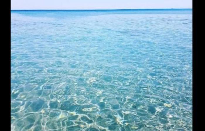 Les Pouilles ont la mer la plus propre d’Italie pour la quatrième année consécutive