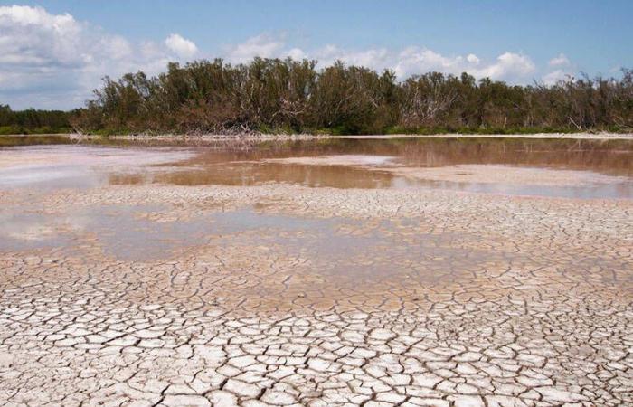 Il y a une alarme de sécheresse en Calabre, Soical : “Ce sera un été difficile”