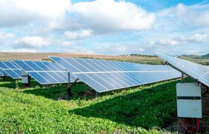 « Nous risquons que les parcs photovoltaïques deviennent le nouveau paysage agricole de l’Émilie-Romagne »