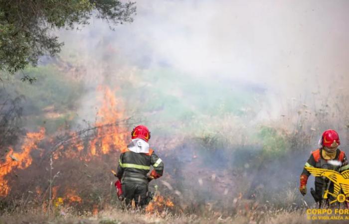 Il a déclenché une longue série d’incendies dans la région d’Oristano : un jeune de 21 ans arrêté | Oristano
