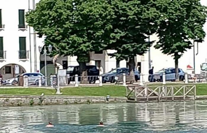 Trévise. Trop chaud, deux touristes plongent dans le Sile depuis le Ponte Dante