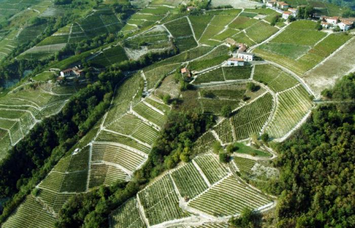 Les paysages viticoles UNESCO du Piémont fêtent leurs 10 ans | Région Piémont | Le Piémont informe