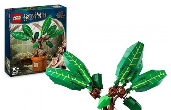 Set Lego Harry Potter Mandrake à prix CHOC (-17%)