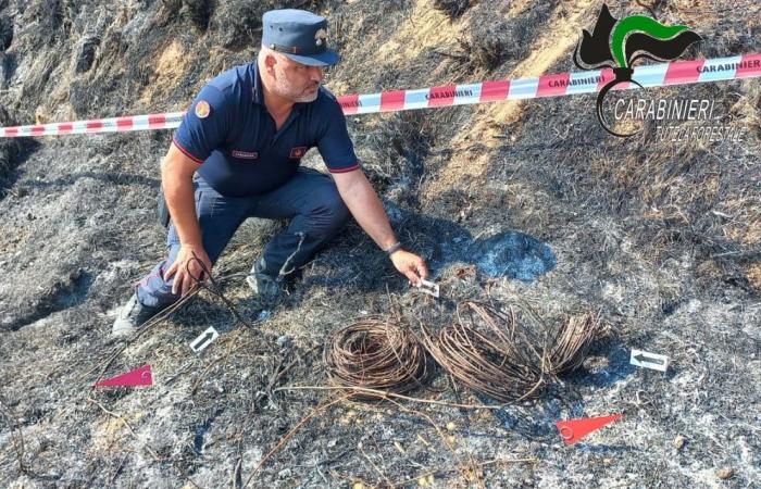 Danger de feux de forêt, arrêté régional : il est interdit d’allumer des feux jusqu’en octobre
