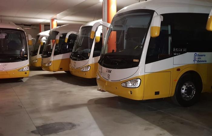 Transports publics, le Conseil régional augmente les connexions vers et depuis Lamezia