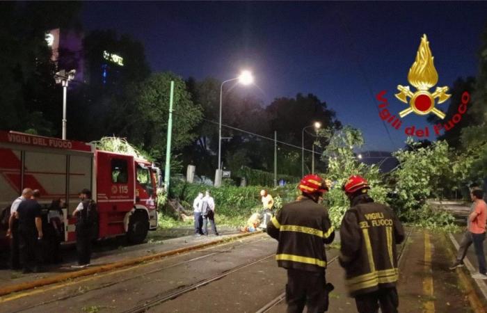 Intempéries en Lombardie, Granelli : “Milan entourée de très fortes tempêtes, 15 arbres tombés”. Les lignes de tramway 12 et 14 ont été interrompues