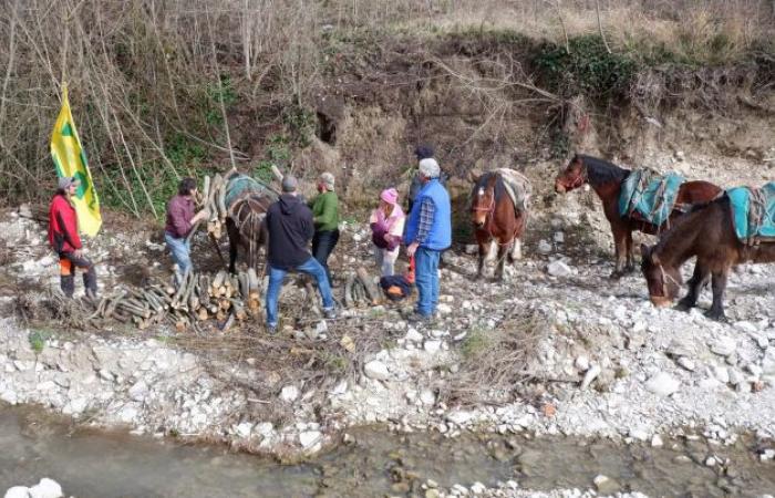 Après la tragique inondation de 2022, à Cantiano nous nous sommes également concentrés sur les mules pour les projets de sécurité hydraulique : nous regardons vers l’avenir en redécouvrant la tradition