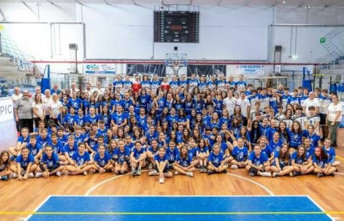 Volleyball Faenza: le vice-président Ferrari fait le point sur la saison