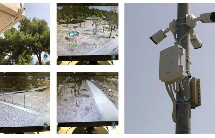 Crotone, nouvelles caméras et prévention incendie aux Jardins et Musée de Pythagore : sécurité 24h/24