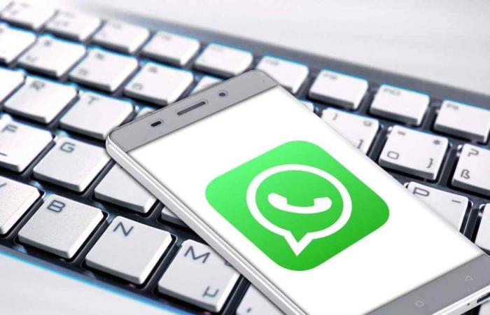 WhatsApp, la nouvelle fonction pour iOS et Android va tout changer : une véritable révolution