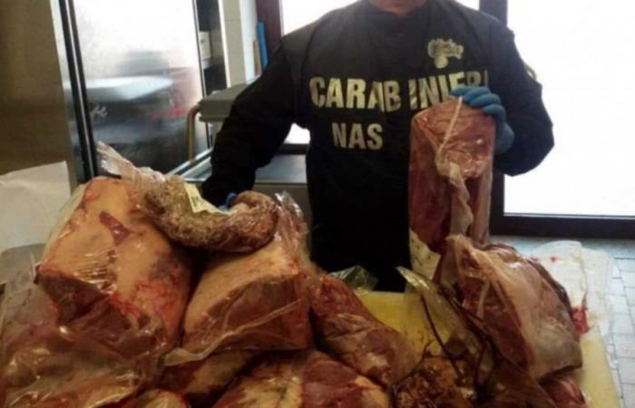 Un laboratoire illégal de transformation de viande saisi dans la province de Latina – Il Caffe
