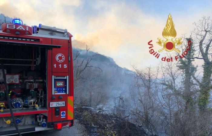 Danger de feux de forêt, arrêté régional : il est interdit d’allumer des feux jusqu’en octobre