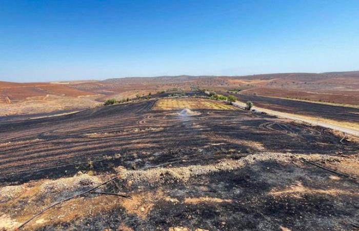 Un incendie de forêt dans le sud-est de la Turquie fait au moins onze morts