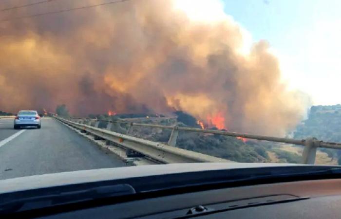 Prévention des incendies de forêt, les règles à suivre sur l’A24 et l’A25 selon Strada dei Parchi