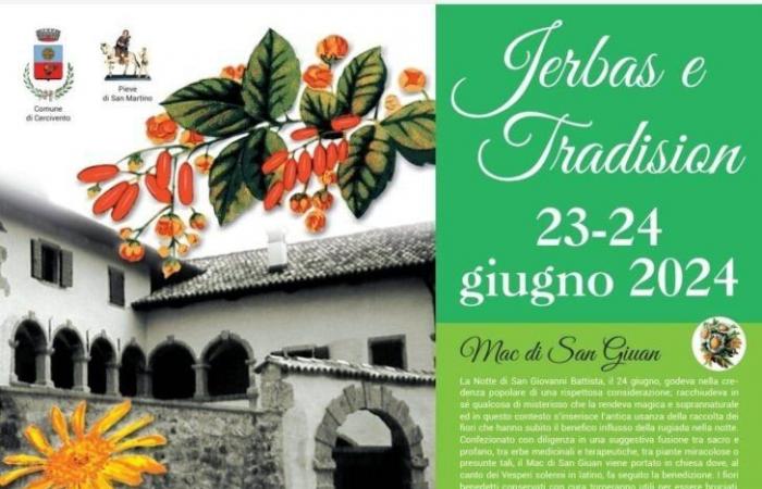 Festivals et célébrations en Frioul-Vénétie Julienne le week-end des 21, 22 et 23 juin 2024. Voici les meilleurs – Nordest24