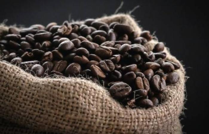 Voyage dans le monde du café : quel impact, lequel choisir, comment le préparer
